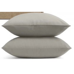 Juego de 2 fundas de almohada Coop Home Goods Comphy SoftSpa estándar/queina