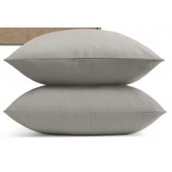 Juego de 2 fundas de almohada Coop Home Goods Comphy SoftSpa estándar/queina